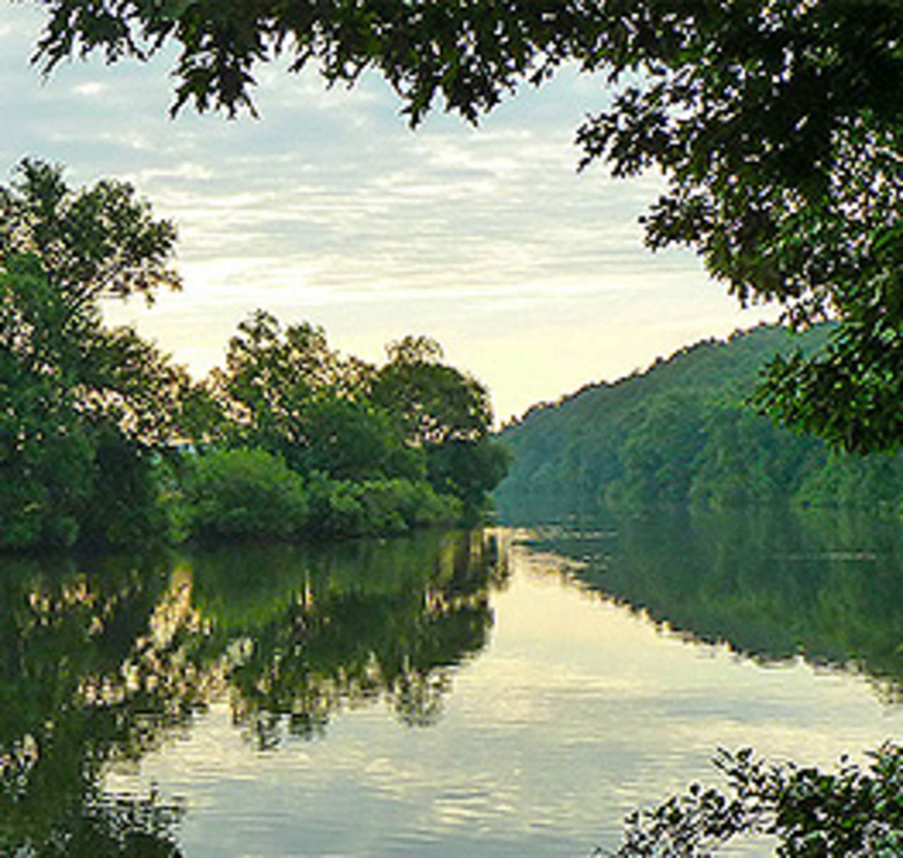 Natur und Nachhaltigkeit 